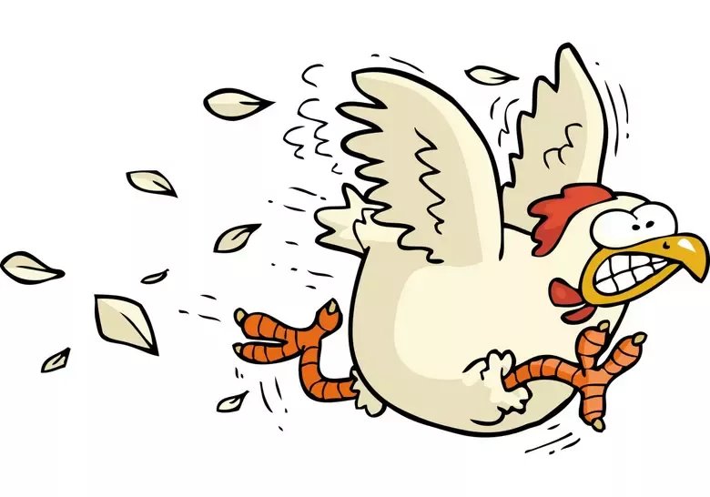 Chicken Road spill 85